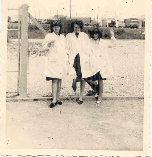 1964 Amies 